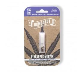 Pineapple Muffin - Humboldt Seeds Company