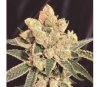 BANANA SHERBET