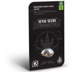 Banana Kush Cake de Sensi Seeds