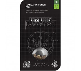 Mandarin Punch - Sensi Seeds