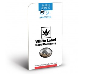 OG Kush Auto de White Label Seeds