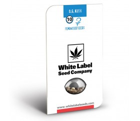 OG Kush - White Label Seeds