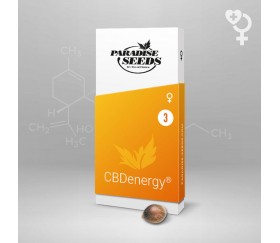 CBDenergy de Paradise Seeds