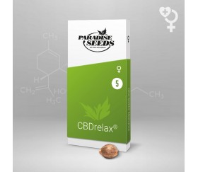 CBDrelax - Paradise Seeds