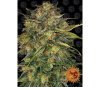 Cheese - Barney’s Farm