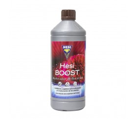 Hesi Boost 1L