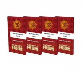 Barneys Farm Hochzeitstorte Auto Seeds