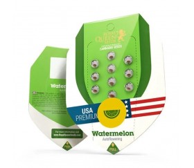 Wassermelone Automatisch - Royal Queen Seeds