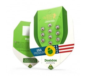 Do-si-dos Automatic -  Royal Queen Seeds