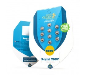 Royal CBDV Automatisch - Royal Queen Seeds