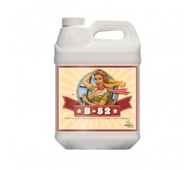 B-52 de Advanced Nutrients 10L