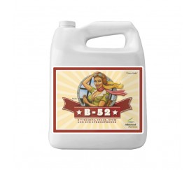 B-52 de Advanced Nutrients 4L