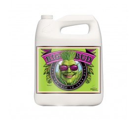 Big Bud de Advanced Nutrients 4L