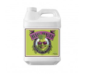 Big Bud de Advanced Nutrients 10L