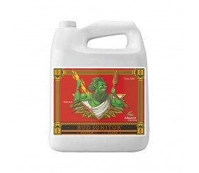 Bud Ignitor 4L de Advanced Nutrients