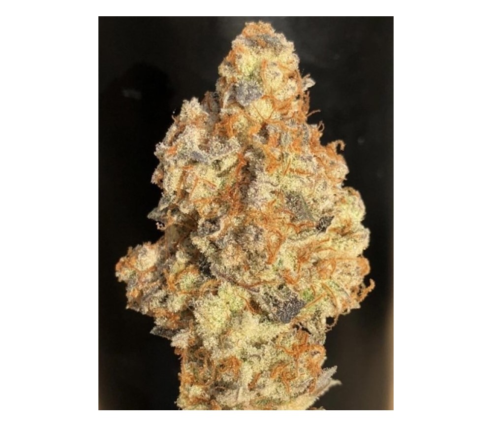 Straw Boujee - Purple City Genetics