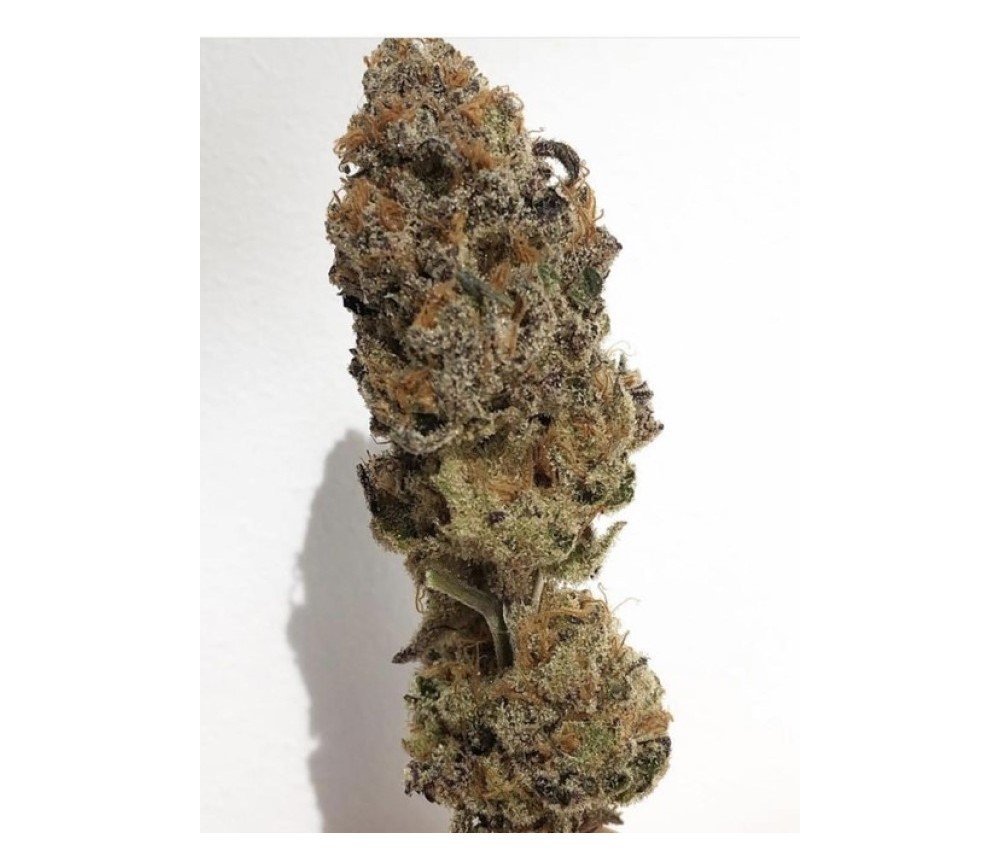 Strawnanna S1 - Purple City Genetics