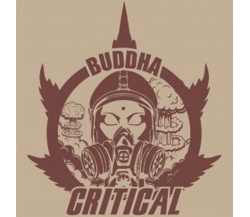 Buddha Critical - Buddha Seeds
