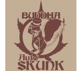 Buddha Auto Skunk - Buddha Seeds