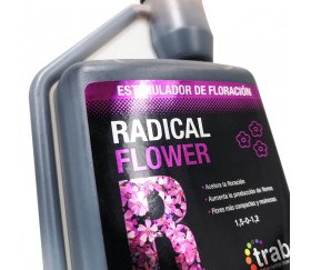 Radical Flower de Trabe