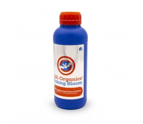 Kalong Bloom de Guanokalong