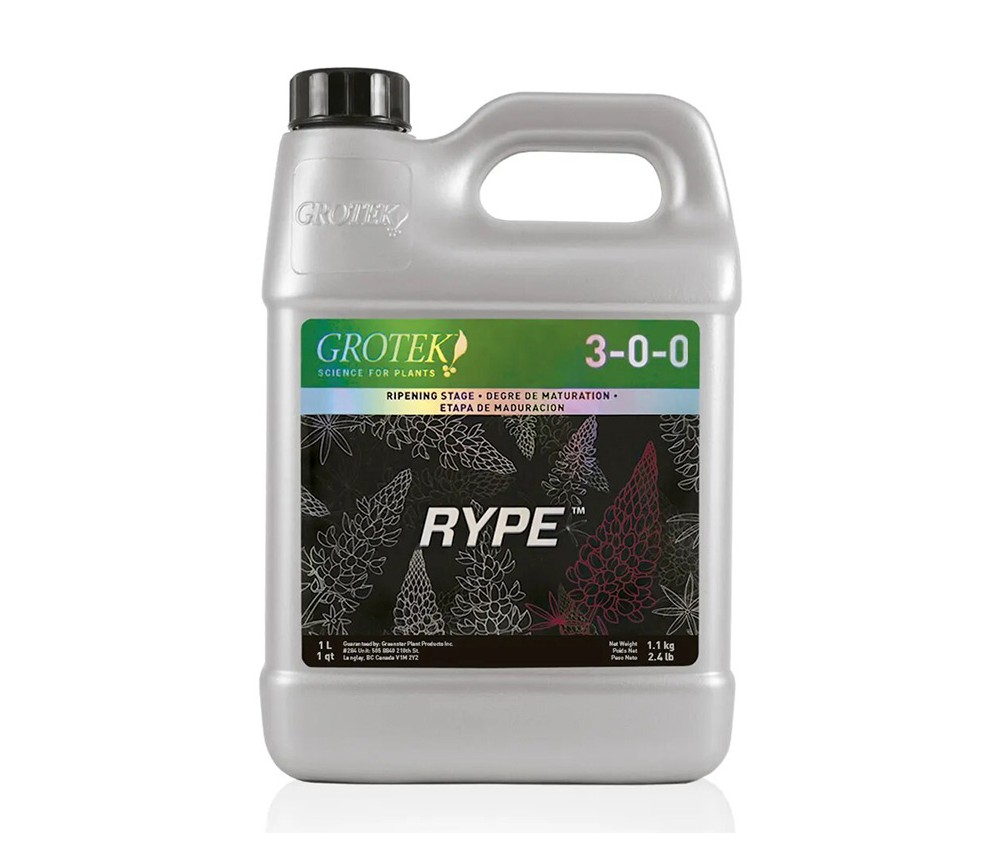 Rype - Grotek