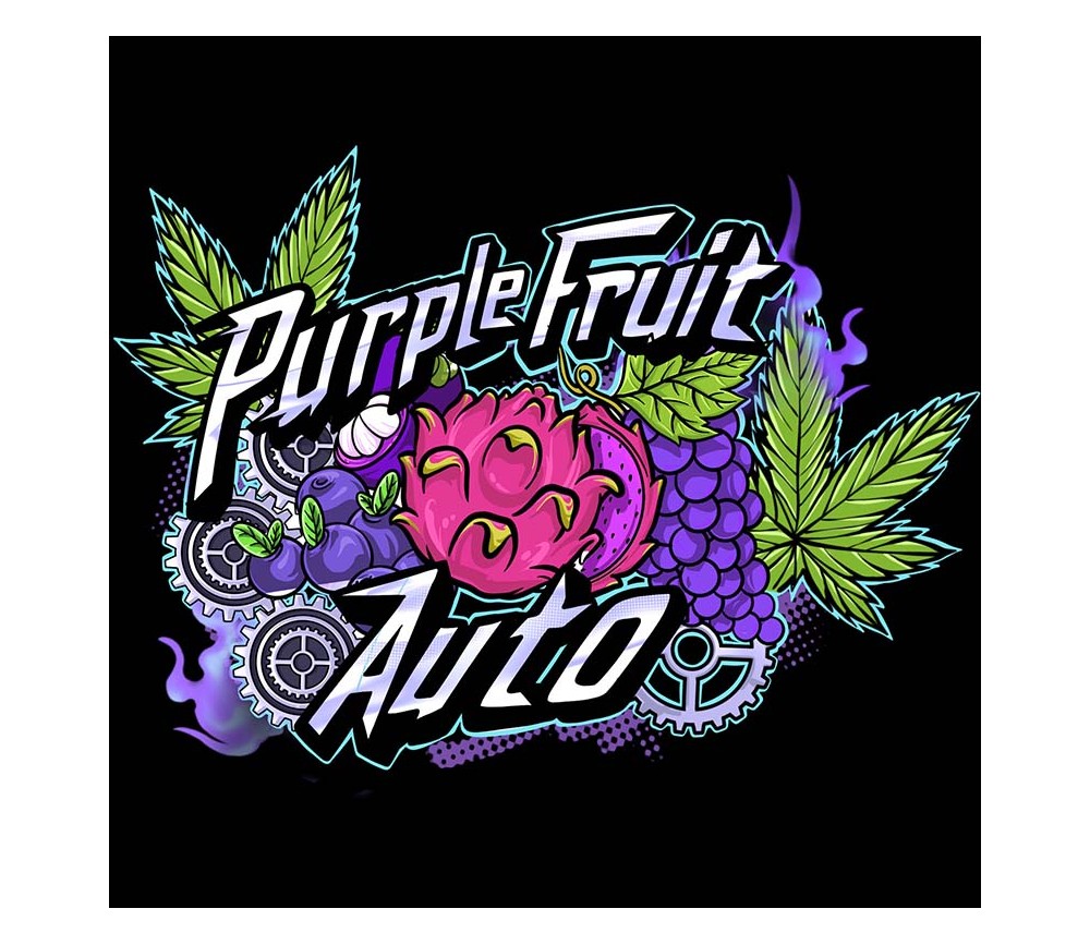 Purple Fruit Auto - Sumo Seeds