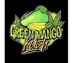 Green Mango Kush - Sumo Seeds