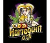 CBD Harlequin - Sumo Seeds