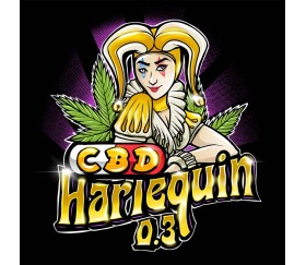 CBD Harlequin - Sumo Seeds