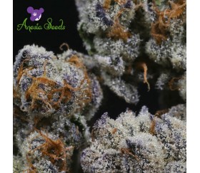 Blackberry Moonrocks - Anesia Seeds