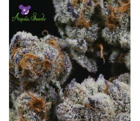 Blackberry Moonrocks - Anesia Seeds