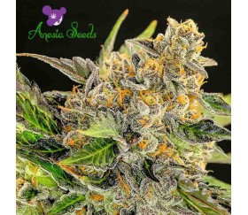 Strawberry Kush - Anesia Seeds