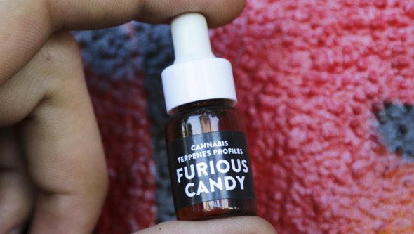 Terpènes Furious Candy de Cali Terpenes