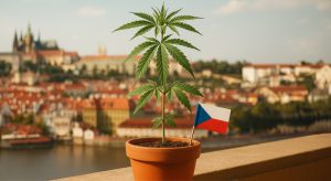 regulacion cannabis europa