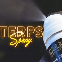 comprar-terps-spray