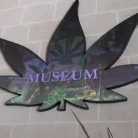 museo-marihuana