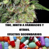 THC Y FARMACOS