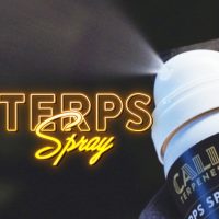 comprar-terps-spray