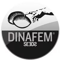 Dinafem Seeds