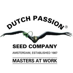 Dutch Passion