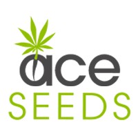 Ace Seeds