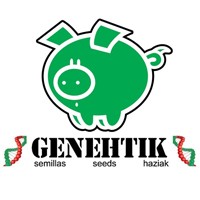 Genehtik Seeds