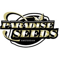 Paradise Seeds