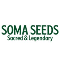 Soma Seeds