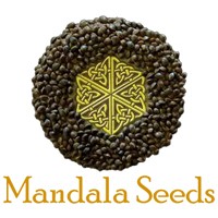 Mandala Seeds