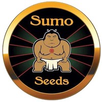 Sumo Seeds