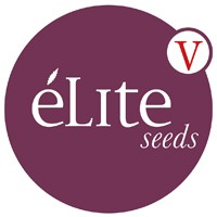 Elite Seeds