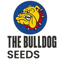 The Bulldog Seeds