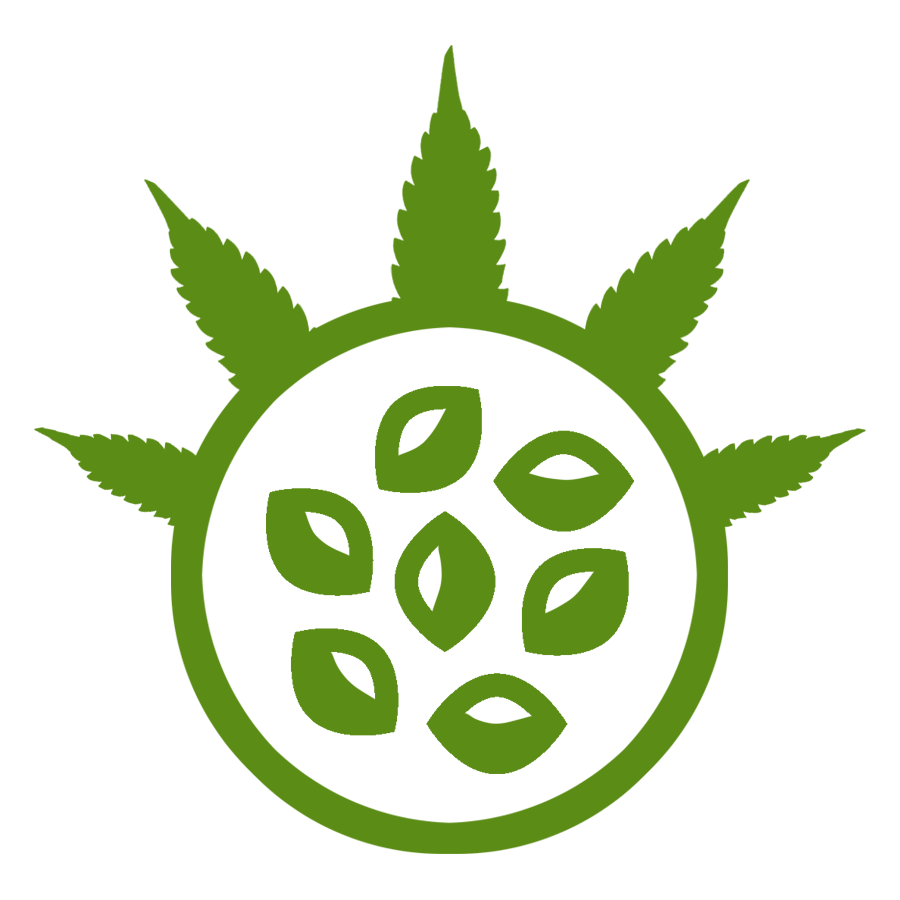 Bulk Cannabis Seeds